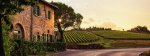 England Vineyards4