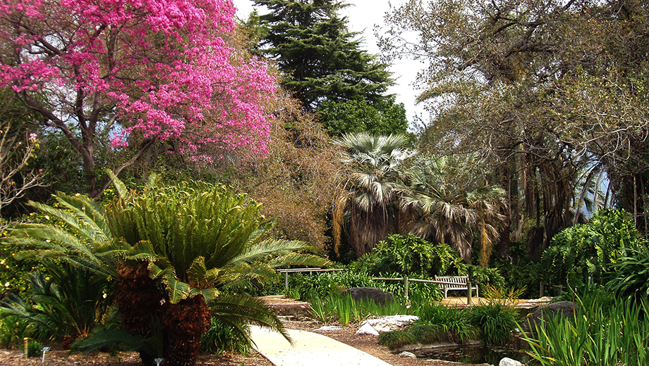 Arboretum And Botanic Garden