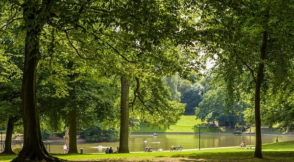 Bois de la Cambre Brussels