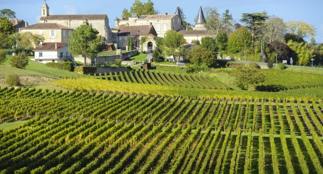 #Bordeaux - Vacation Near France Famous Vineyards #travel #FrizeMedia