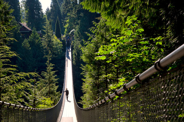 Capilano Suspension Bridge Vancouver Canada - FrizeMedia