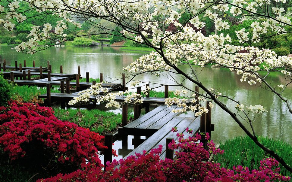 Fishermans Wharf Japanese Tea Garden - FrizeMedia