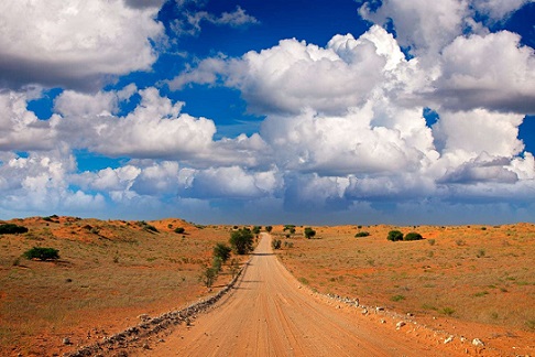 Kgalagadi Transfrontier Park