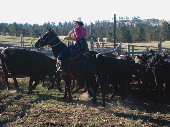 Nebraska Ponderosa Ranch - FrizeMedia