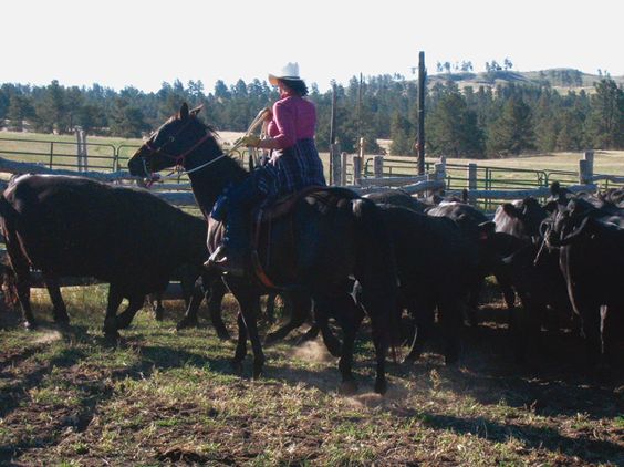 Nebraska Ponderosa Ranch - FrizeMedia