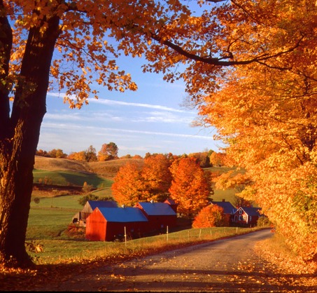 New England Scenery