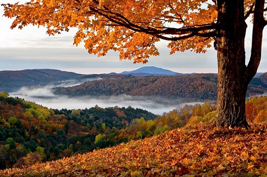 New England Travel4