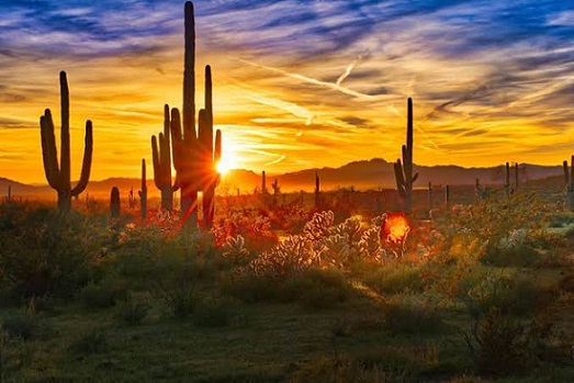 Phoenix Arizona2 Phoenix Arizona2