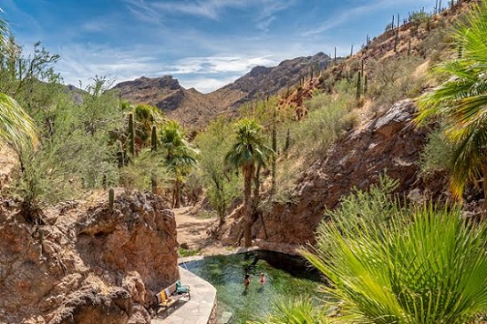 Phoenix Arizona3 Phoenix Arizona3