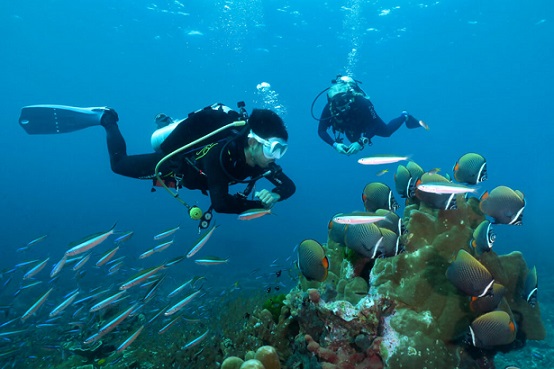 Similan Island3