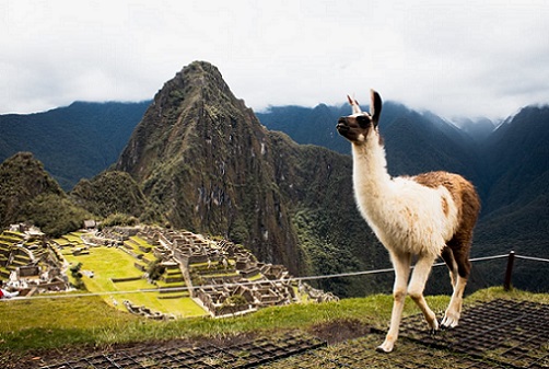 #SouthAmerica - #Travel #Guides And Tips #FrizeMedia