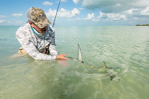 Baja California Mexico2 Baja California Mexico2