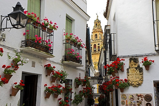 Calleja De Las Flores