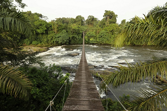 Cameroon Travel