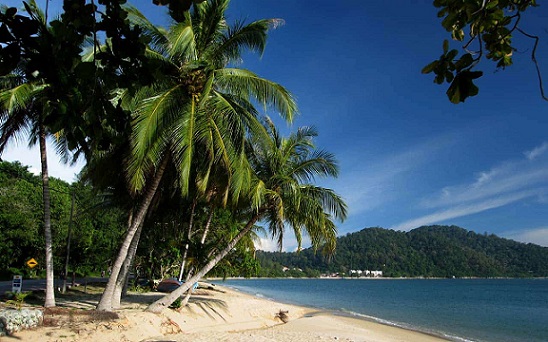 Cameroon Travel4