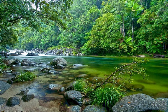 Daintree Australia