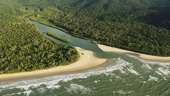 Daintree Australia4