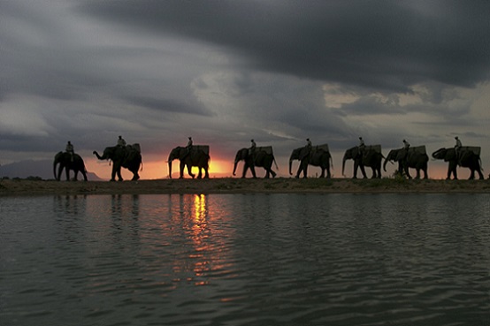 Elephant Back Safaris3
