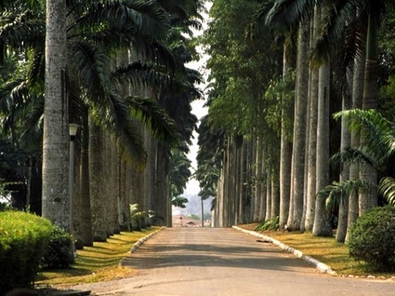 Ghana Botanical Garden