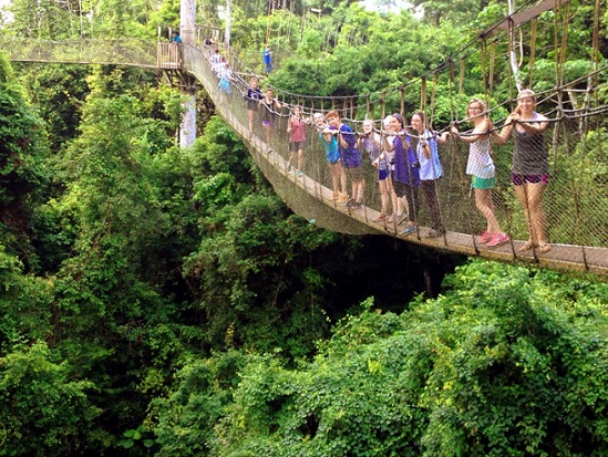 Explore The Wonders Of Ghana By Visiting Awesome Kakum National Park. #FrizeMedia