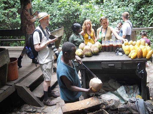 Kakum National Park8