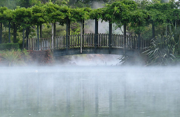 Kuirau Park Rotorua NewZealand - FrizeMedia