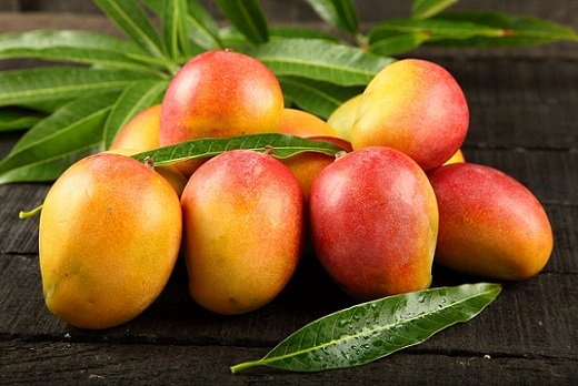 Mango Mango