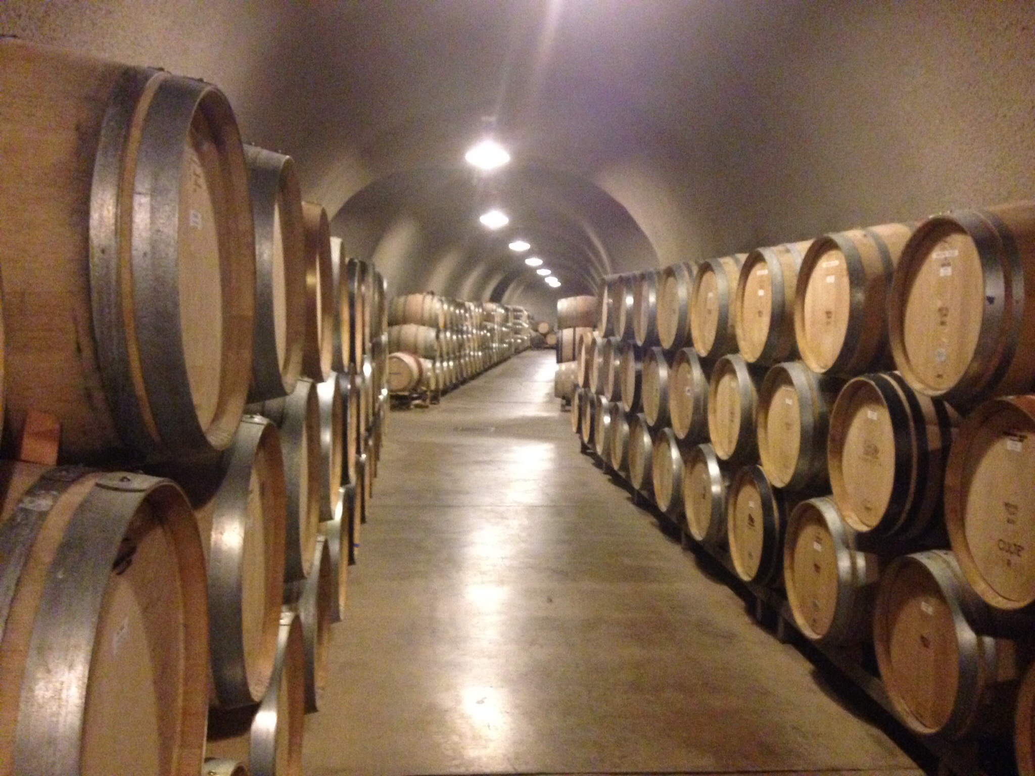 California - Napa Sonoma Wine caves - FrizeMedia Digital Marketing Advertising Consulting