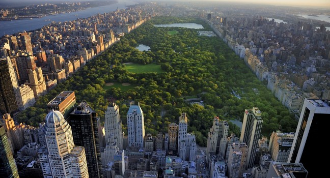 New York - Central Park - FrizeMedia - DigitalMarketing