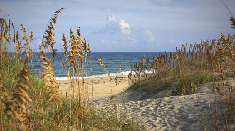 North Carolina Outer Banks - USA - FrizeMedia - Digital Marketing - Advertising - Consulting