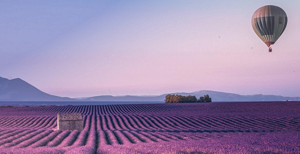 Provence France5 Provence France5