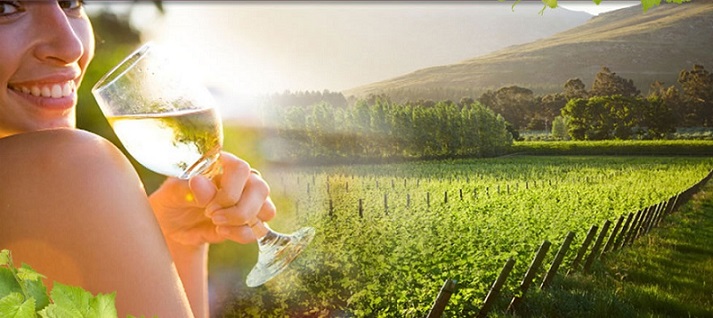 San Francisco Wine Country3