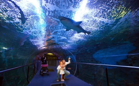 San Sebastian Aquarium - FrizeMedia