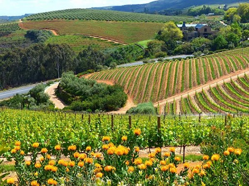 Sonoma County3 Sonoma County3