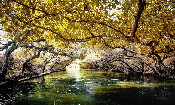 Taijing National Park Forest Taipei Taijing National Park Forest Taipei