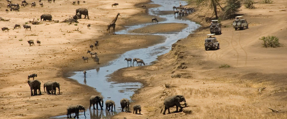 Tanzania Safari Africa - FrizeMedia