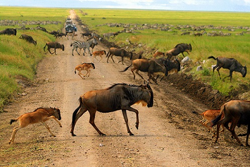 Tanzania