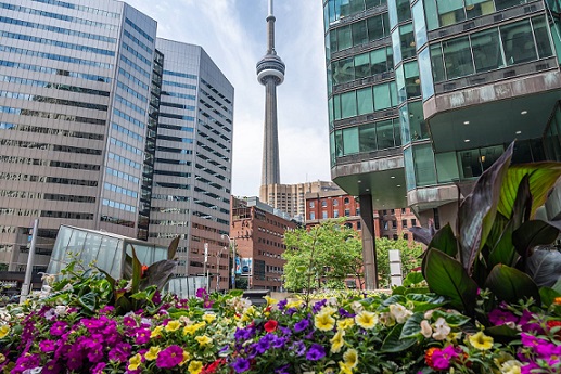 Toronto Travel2 Toronto Travel2