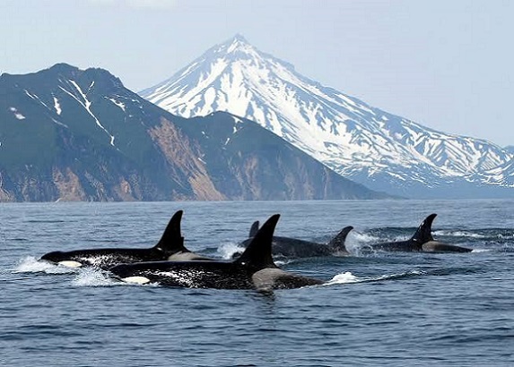 Vancouver Island3
