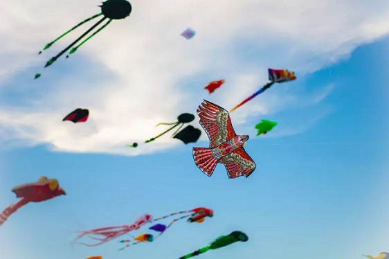 Wildwood Festivals6
